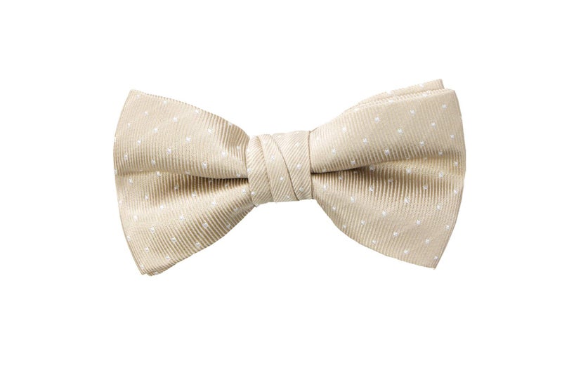 Spring Notion Boys' Modern Fit Light Khaki Dress Suit Set with Champagne Bow Tie 07 - Image 5